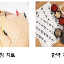 금송아지한의원 네이버블로그