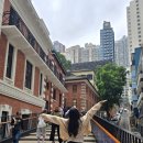 시작점 | [중국 홍콩] 미드레벨 에스컬레이터 시작점 소요시간 후기
