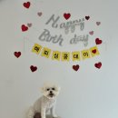 카페멍스 이미지