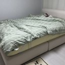 이불 브랜드 추천 호무로 사계절 차렵이불 필굿 알러지케어 모스그린 내돈내산 후기