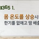 올리고스토어