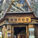 부산 서면 분위기 좋은 한식주점 부엉이산장 후기