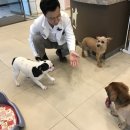 딜리동물병원 네이버블로그