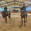 대암축산 이미지