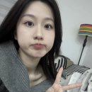 참치랑연어 이미지