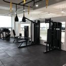 피트니스라인 이미지