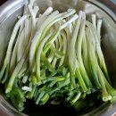 보들보들 대파김치(웅찌님 대파) 이미지