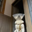 완도동물병원 이미지