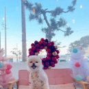 스파트리송정 네이버블로그