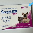 고산연합약국 이미지