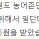 행복한숲 Happy forest 이미지