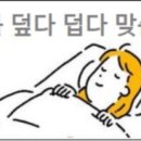 덮다 티스토리