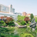 중앙대학교 이미지