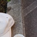 꽃동산교회 앞 이미지