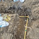 (유)반야조경건설 | 동탄 오산 용인 아파트 굴착기 작업 홍보 (다지건설 : 1668-4884)