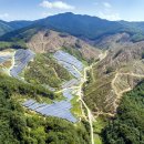 반월태양광발전소 이미지