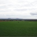 부영CC관광호텔 이미지