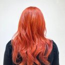 보그헤어 삼송점