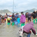 죽림어촌체험마을 이미지