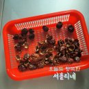 뽀드독 | 경상남도 환경교육 비대면 집콕키트 / 슬기로운 집콕키트 사용후기모음입니다!