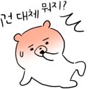 영운태권도 이미지