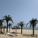 나인비치37 | [강원도맛집/망상맛집] 이국적인 분위기에 탁트인 뷰가 시원한 힐링하기 좋은 펍&amp;카페 '나인비치 37'