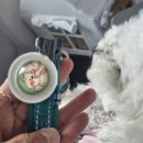 네이처스 블리스