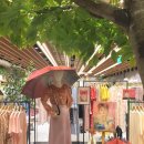 강남-161 이미지