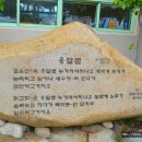 일운초등학교 병설유치원 이미지