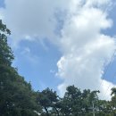 청계 맑은숲공원 이미지