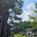 세미원작은도서관 | 블챌 3주차 워크숍 후기 두물머리, 세미원, 육콩이네 연잎밥, 양평포레스트펜션, 용문산보리밥, 리틀...