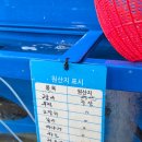 강서구-88 | 부산 강서 명지회 센터 88수산 전어 1kg 포장후기