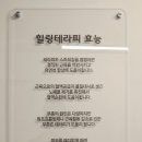 한국밸런스테라피협회