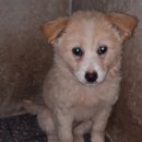 군서면보건지소 이미지