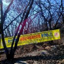 행복한 산행/금정산을 오르며 이미지