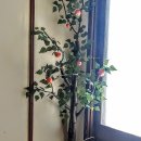 꿈꾸는정원 이미지