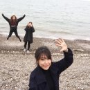 위드해지개 이미지