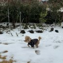 힐담(힐링을담다) 이미지