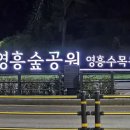 영흥숲공원 Daum카페