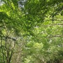 팔영산자연휴양림주차장 이미지