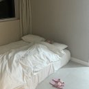 조내기경로당 | [부산숙소 / 기장풀빌라] 오션뷰의 정석 타이드어웨이(TIDE AWAY) 인피니트 스위트 101호 솔직후기