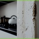 이섭대천로 6 이미지