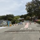유동물원 | 갈비사자 바람이 보러 다녀온 청주동물원 후기