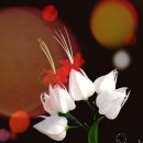 리얼티톡공인중개사사무소 이미지