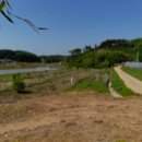 합덕역닷컴공인중개사사무소 | [충남 당진 송산면 전원주택 부지 급매매] 단독주택 부지 매물 매도 투자용,특용작물재배,귀농귀촌...