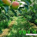 옥골농장 이미지