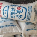 대관령절임배추