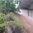 그것이 뽑고싶다 이미지