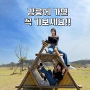 송이조각공원 어린이놀이시설 | 강원 양양 필수 여행 코스 | 송이조각공원, 남대천 생태공원