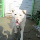 사문4길 15 이미지